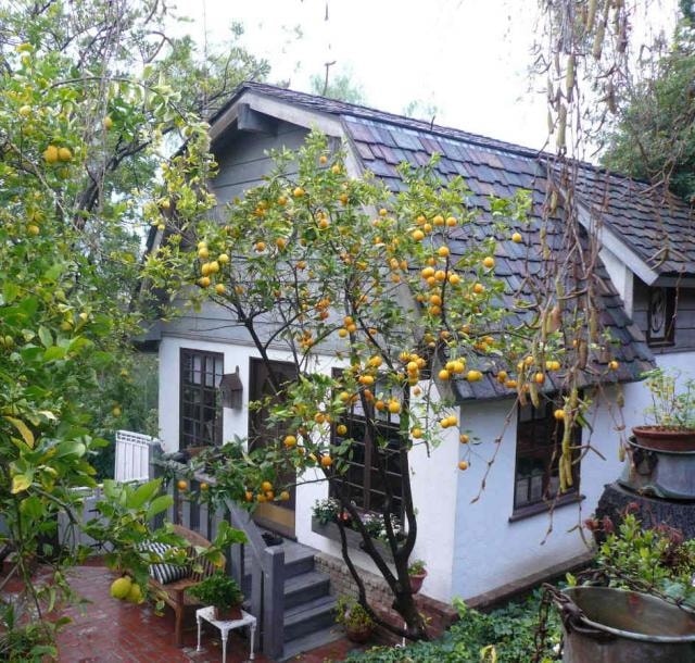 Valley Vintage rental property